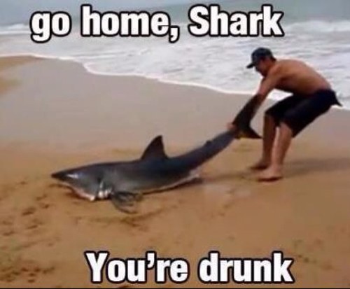 Diary of a boozer. You call me an alcoholic, I just call it a damn good time. #partyhard #alcoholic #boozer