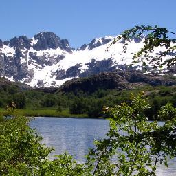 radarli1960's profile picture. soy amante de la vida sana y pura