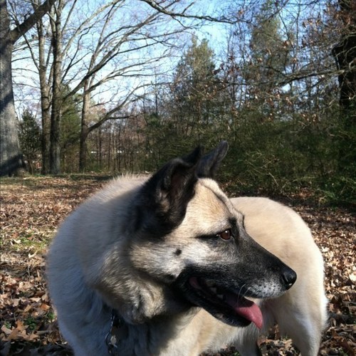 carpenterjulie6's profile picture. If I could go back in time, I would do everything I could to save my daughter's life. Love & cherish all good people, please. Religion free. Humanist.