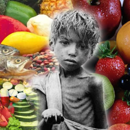Um twitter criado para conscientizar as pessoas sobre o despedicio de alimento no país