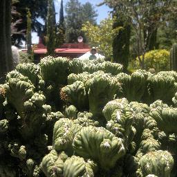 KinMaldonado's profile picture. 