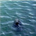 Ali Stone - @AliStone23 - Twitter