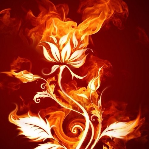 HolmanMegs's profile picture. 