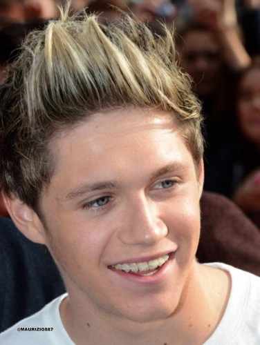 I follow 100% Back !!!! I'm proud to be a fan of One Direction. I love Niall Horan.  He's my Idol and my sexy cute Irish Womanizer.!!!! :*  #WeAreNiallerGirls