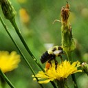 Mark Frances - @MarkFrances445 - Twitter