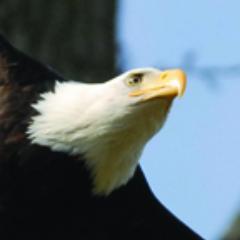 Arts, entertainment and recreation for Skagit Valley