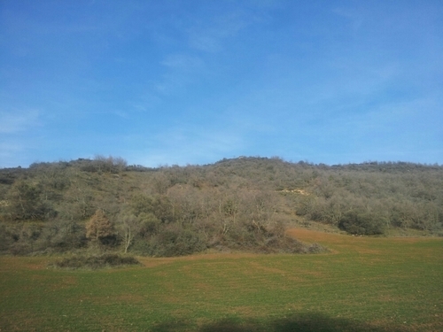 cefersa10's profile picture. 