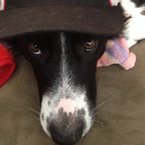 Lmathewson's profile picture. Faculty Fleming College; OPSEU member