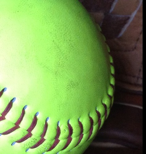 Official Twitter Page of the Oak Park Lady Oakies