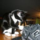 Katy Dolan - @KatherineVDolan - Twitter