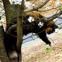 Gene Grady - @GeneGrady842 - Twitter