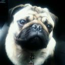 maria dolores castro - @mar_mariad - Twitter