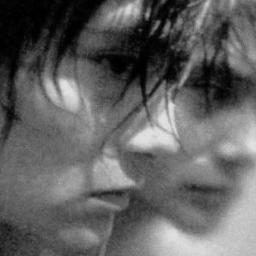 Grillosaurio's profile picture. 