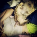 Mark Paris - @MarkParis724 - Twitter