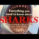 Frances Ralph - @StRalph - Twitter