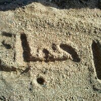 حنون بجنون (@f7l_toop3333) 's Twitter Profile