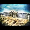 Courtney Mark - @CourtneyMark509 - Twitter