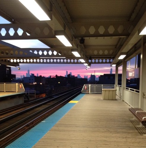 gaulster's profile picture. 