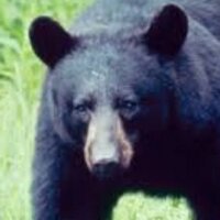 Mason (@mason_hermes) 's Twitter Profile
