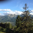 Anna Holub-Standish - @AnnaHStandish - Twitter