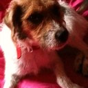 vicky Morton - @MummaSexxy - Twitter