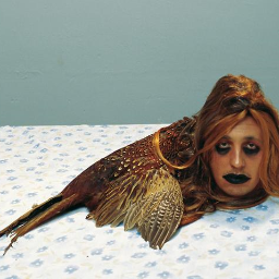 EvelinZoroteaga's profile picture. 