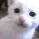 Cheyenne Edwards - @LovableSmokey - Twitter