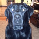 Dave Temple - @big_bear19 - Twitter