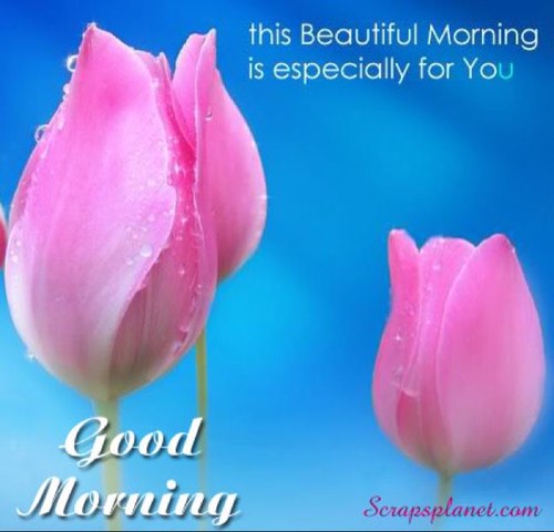 Roymmohd's profile picture. Treat People as you Want them to Treat you