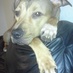 Roxy (@seminolebucrays) Twitter profile photo Roxy (@seminolebucrays) Twitter profile photo