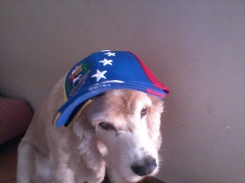 EmmaCristina Profile Picture