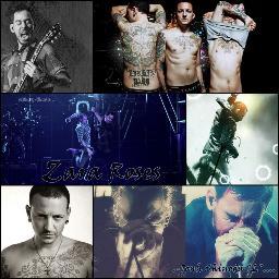 NILLAYRA's profile picture. El pensamiento de una persona es la esperanza de otra