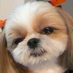 🍄🟫自称:元祖マンガヲタ•元祖BLヲタ🍄🟫🌹池田理代子🌺青池保子💐竹宮恵子🌷萩尾望都🪷山岸涼子🌸木原敏江🌼大島弓子🪻吉田秋生🍄手塚治虫☘️ 🎸🎸🎸🎸ELP•LedZeppelin•DavidBowie•Beatles•Aerosmith•Queen•S&G 🎮ZELDA