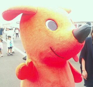 サッカー観戦（欧州CL/J league/ジェフ千葉・Sバック席在住）、京都観光、F1、写真撮影、城郭＆歴史（幕末＆古代エジプト）、ちょこっとゲームも好きな一貫性に欠けるキマグレ野郎です。よろしくでございます
