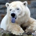 Jack Diedrich - @MrCaffeen - Twitter