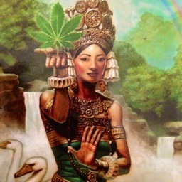 LA KUSH HEMPORIUM; Pre-ICO Collective, Highest Quality Meds in LA

323.935.0808

instagram = LAKUSH420