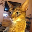 james convery - @conv60 - Twitter