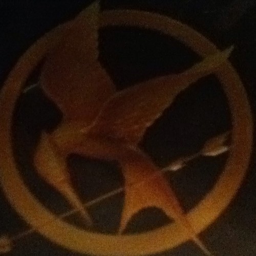 hungergames4487's profile picture. 