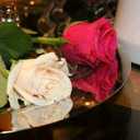 Anwar_580 (@580_anwar) Twitter