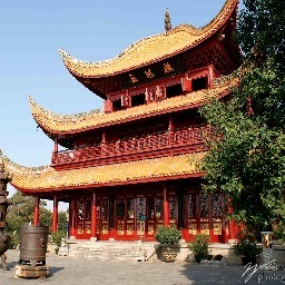 LostCitiesAsia's profile picture. 