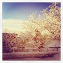 Lucas Floyd - @LucasFloyd754 - Twitter