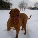 john king - @john_kingman519 - Twitter