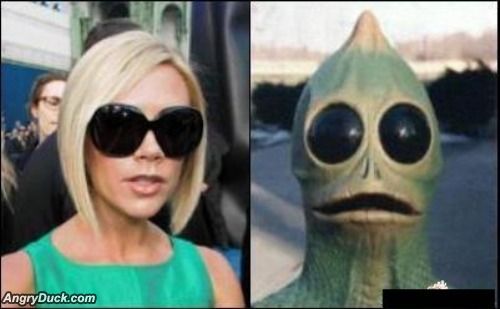 LondonLookALike's profile picture. Just doin some look a likes