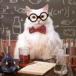 Your college professor said what? Tweet it here!