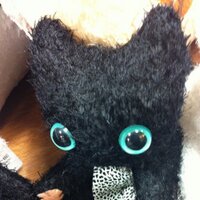 Blackcat - Jay (@blackcatjay) 's Twitter Profile