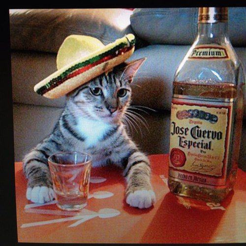 clberg68's profile picture. 