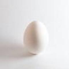 86ed4ever's profile picture. Future HSU student exploring the lost coast