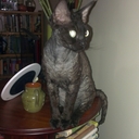 Paul Cutting - @BulletNW - Twitter