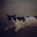 Morris Mickey - @MorrisMickey384 - Twitter