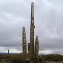 Ethan Boudreau - @EBoudreau7 - Twitter